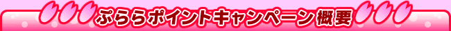 �Ղ��|�C���g�L�����y�[���T�v